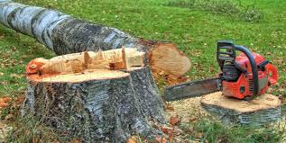 Rendon, TX Tree Services Company