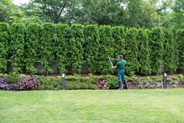 Artificial Turf Installation in Rendon, TX