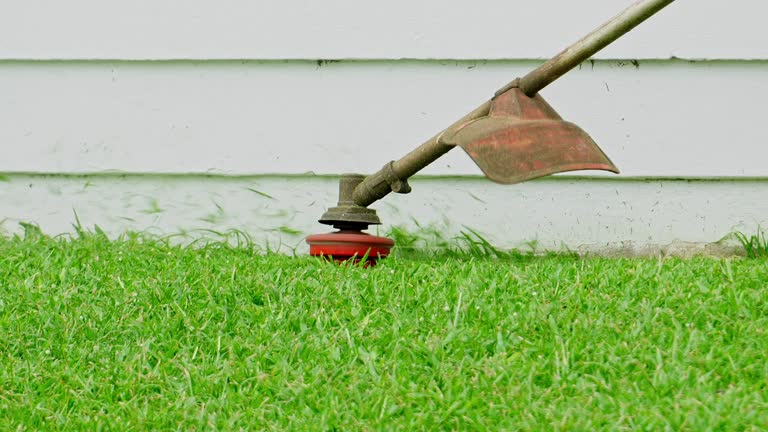 Best Weed Control  in Rendon, TX